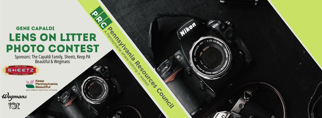 Lens%20on%20Litter%20Banner%20JPG.jpg